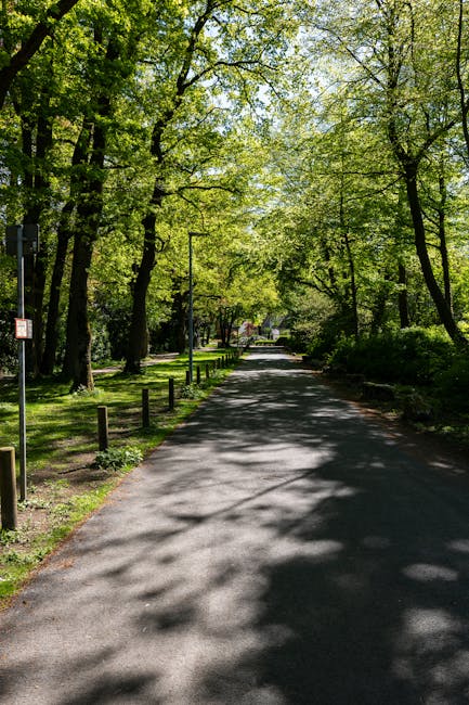 A paved residential street lined with tall, leafy green trees providing partial shade over the road. Wooden posts and a metal chair are positioned along the pavement's edge, with sunlight filtering th